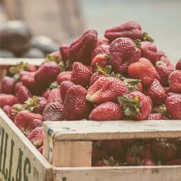 Exportador de productos del campo